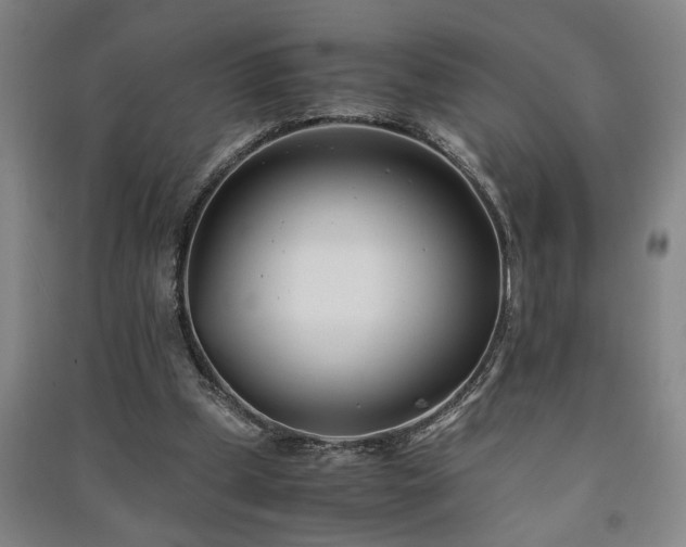 X0000091220249200708161702