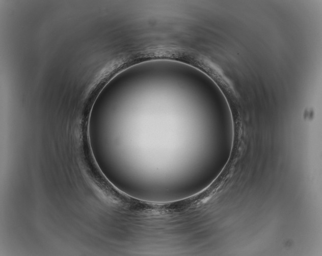 X0000091220250200708161702