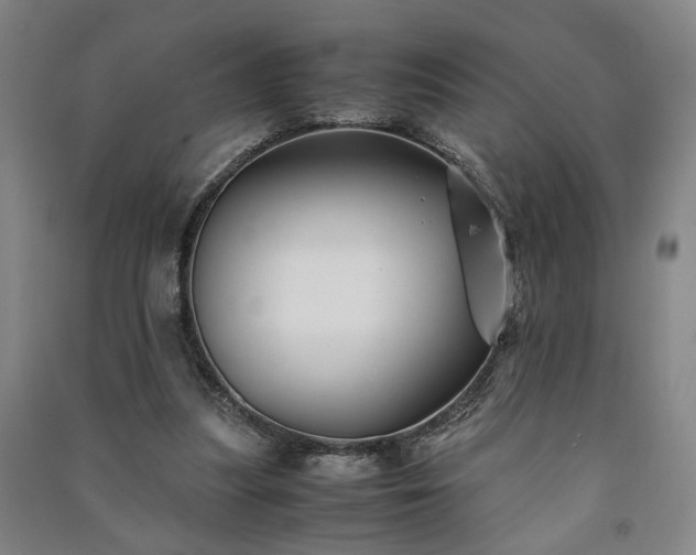 X0000091220251200708161702