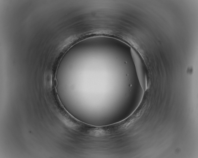 X0000091220253200708161702