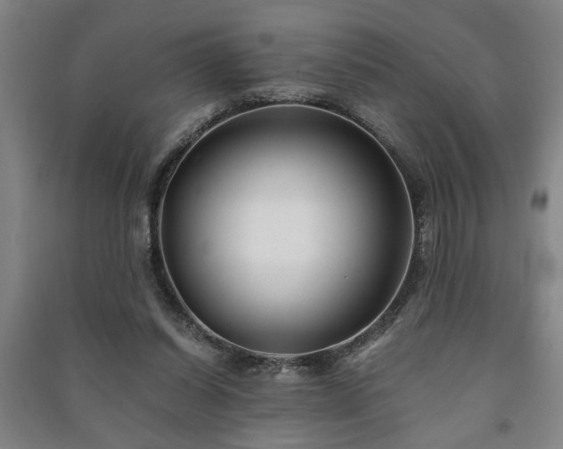 X0000091220254200708161702