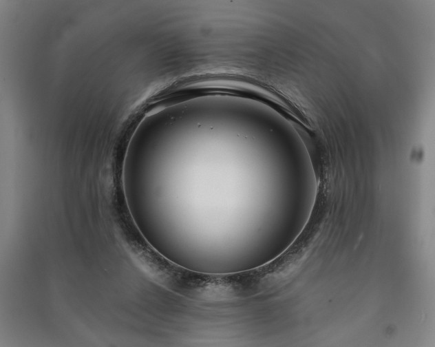 X0000091220256200708161702