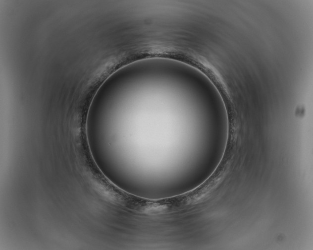 X0000091220257200708161702