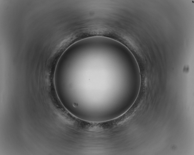 X0000091220258200708161702