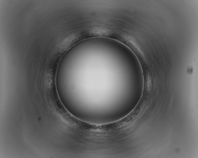 X0000091220259200708161702