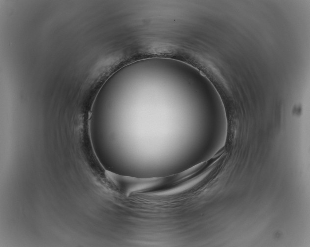 X0000091220260200708161702