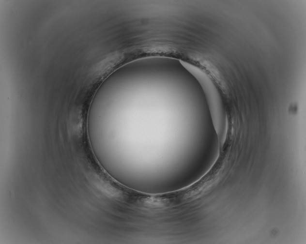 X0000091220261200708161702