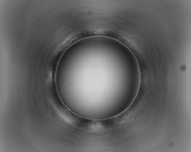 X0000091220262200708161702