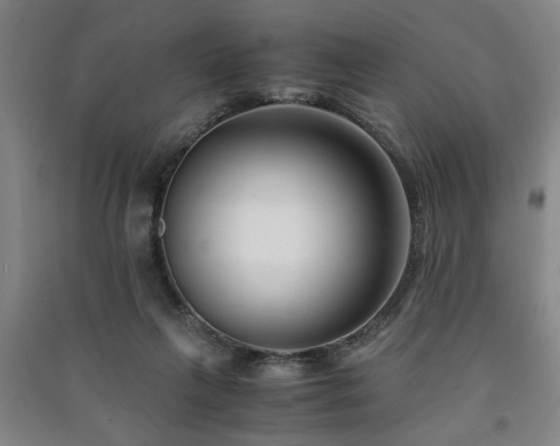 X0000091220263200708161702