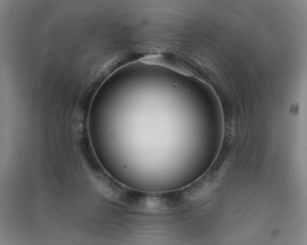 X0000091220264200708161702