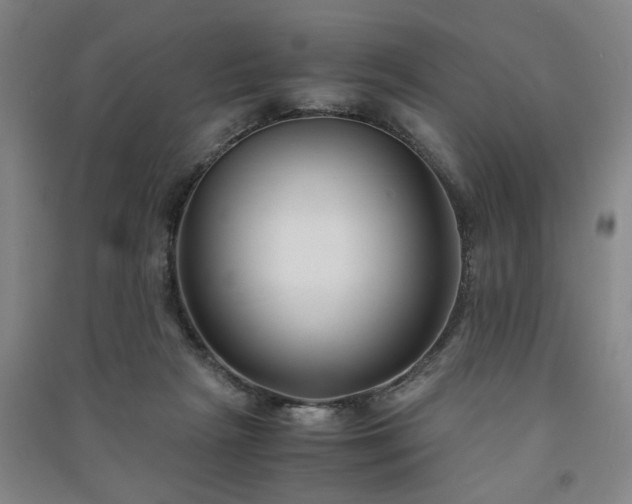 X0000091220265200708161702