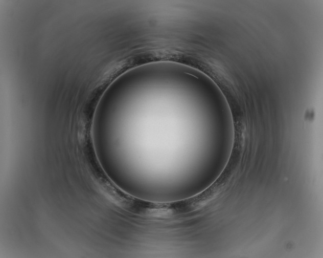 X0000091220266200708161702