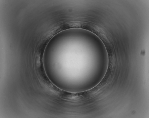 X0000091220267200708161702