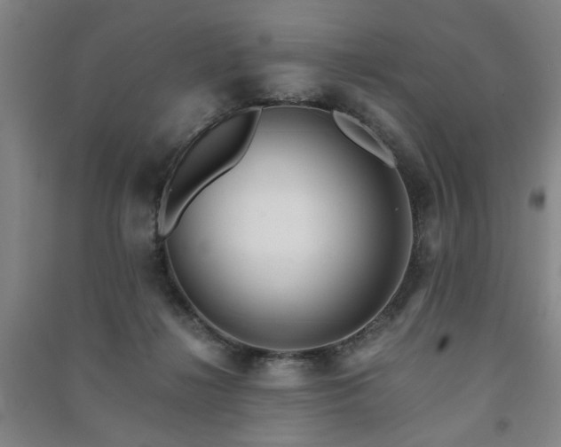 X0000091220268200708161702