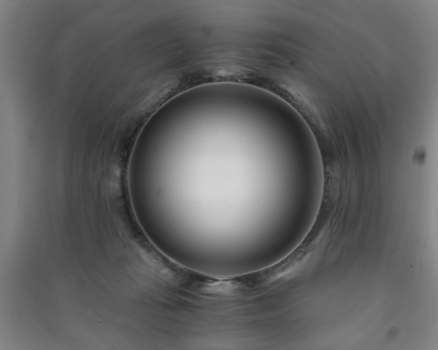 X0000091220269200708161702