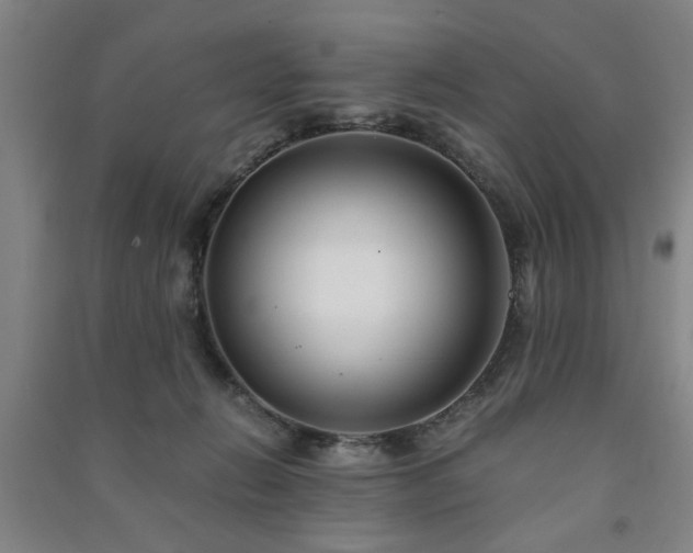 X0000091220270200708161702