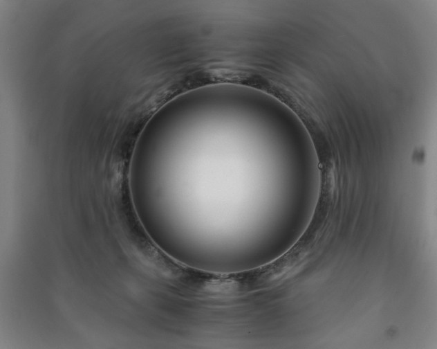 X0000091220271200708161702