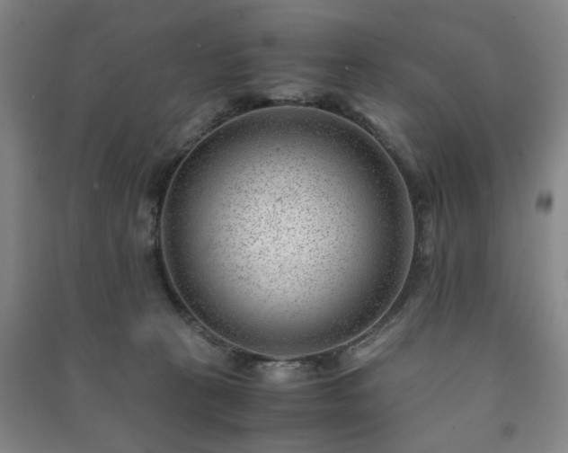 X0000091220273200708161702