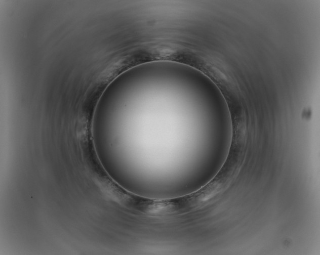 X0000091220274200708161702