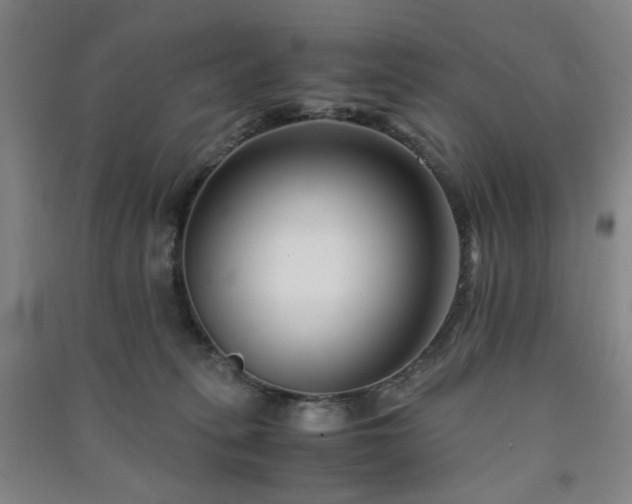 X0000091220275200708161702