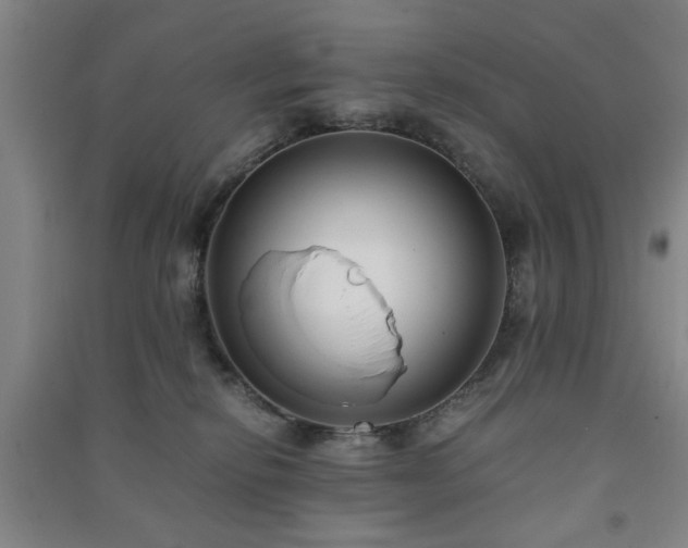 X0000091220278200708161702