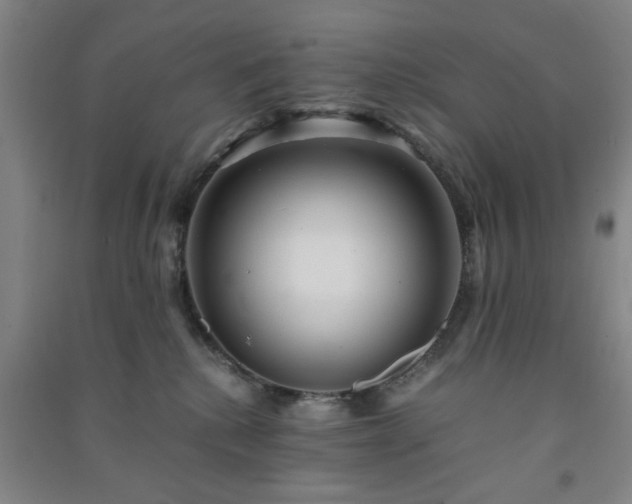 X0000091220280200708161702