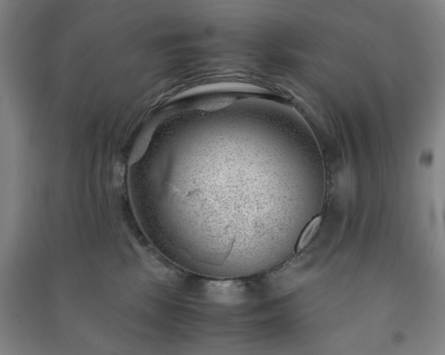 X0000091220281200708161702