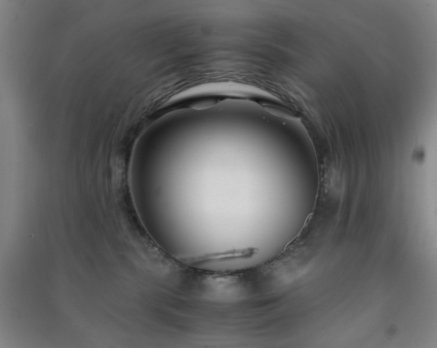 X0000091220283200708161702