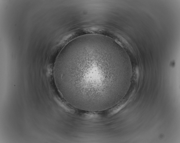 X0000091220284200708161702
