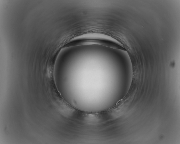 X0000091220285200708161702