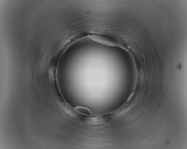 X0000091220286200708161702