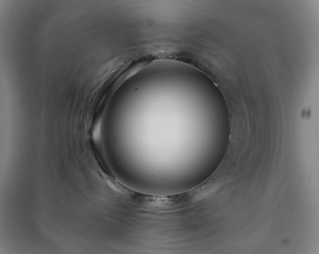 X0000091220288200708161702