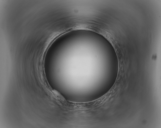 X0000091220289200708161702