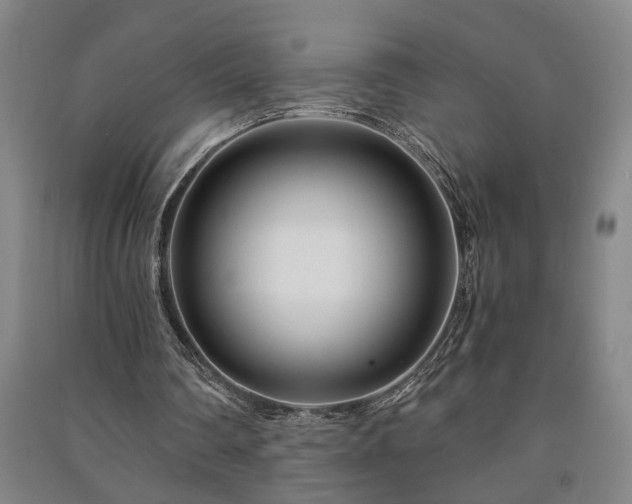 X0000091220290200708161702