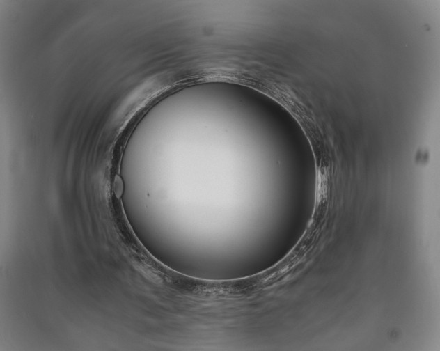 X0000091220291200708161702