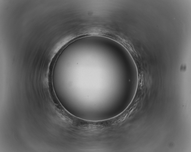 X0000091220292200708161702