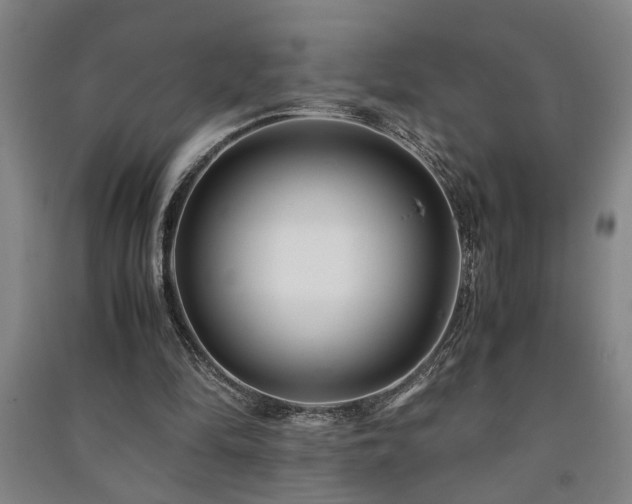 X0000091220294200708161702