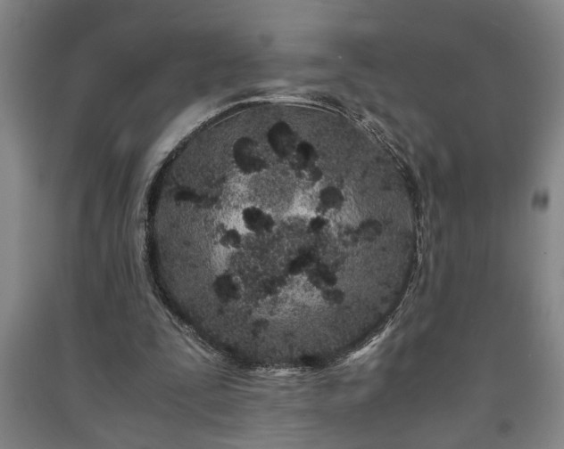 X0000091220295200708161702