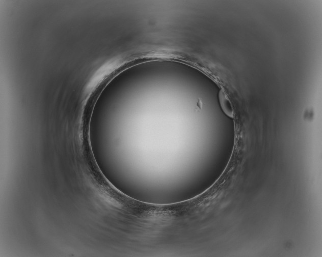 X0000091220296200708161702