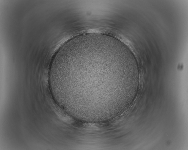 X0000091220297200708161702