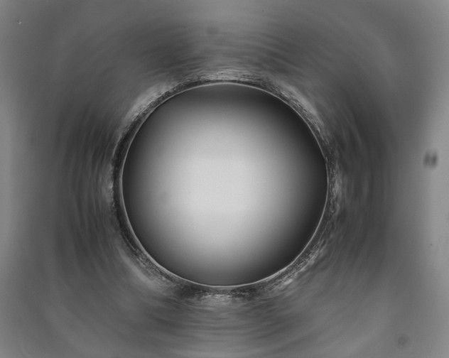 X0000091220298200708161702