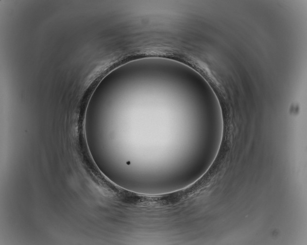 X0000091220299200708161702