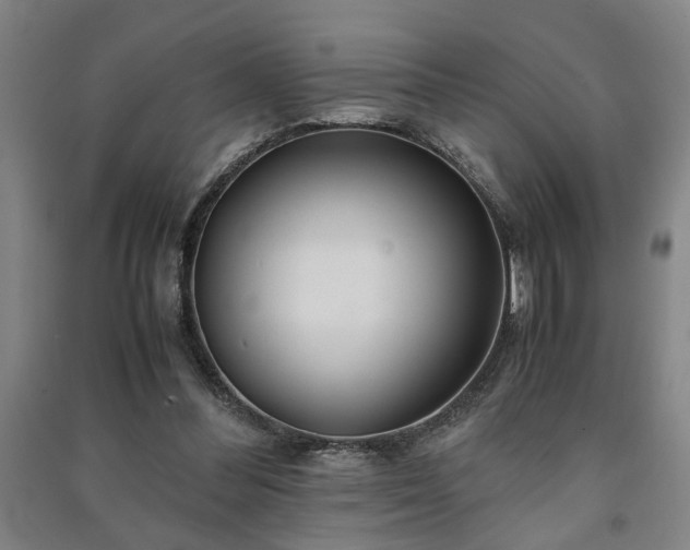 X0000091220300200708161702