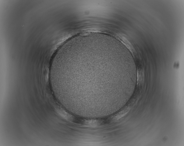 X0000091220301200708161702