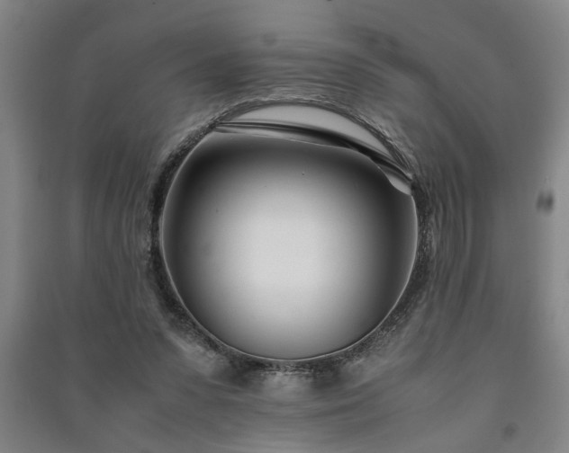 X0000091220303200708161702