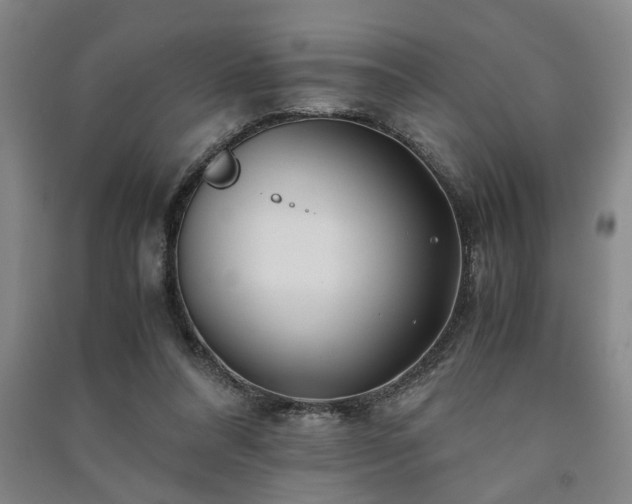 X0000091220304200708161702