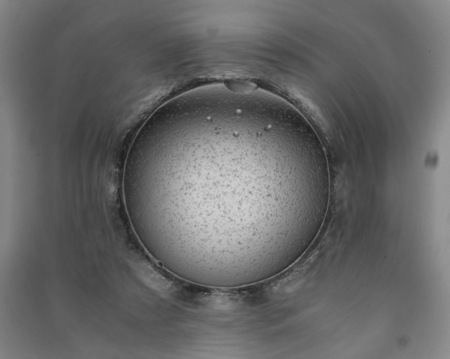 X0000091220305200708161702