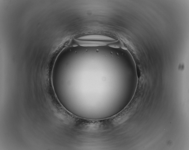 X0000091220306200708161702