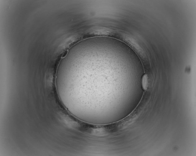 X0000091220309200708161702