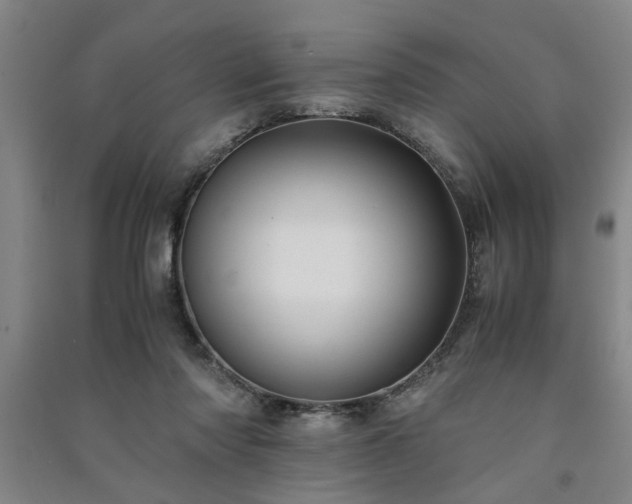 X0000091220310200708161702